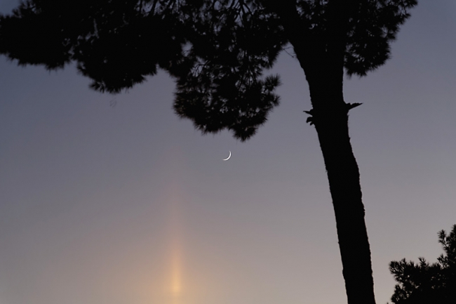 Yazd-Jardin Dolat Abad-022